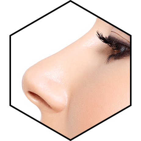 Подробнее о статье Ринопластика